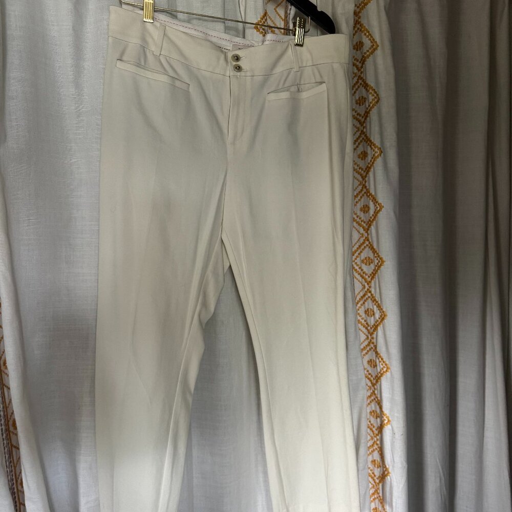 Beautiful Anthropologie pants size 14